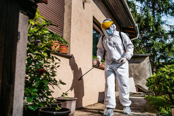 Best Bed Bug Extermination  in Dell Rapids, SD