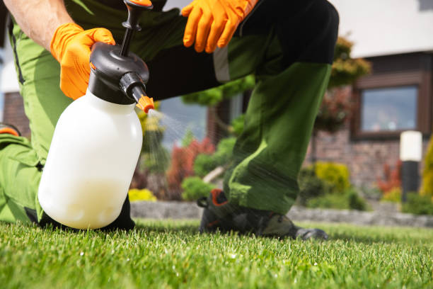 Best Commercial Pest Control Services  in Dell Rapids, SD