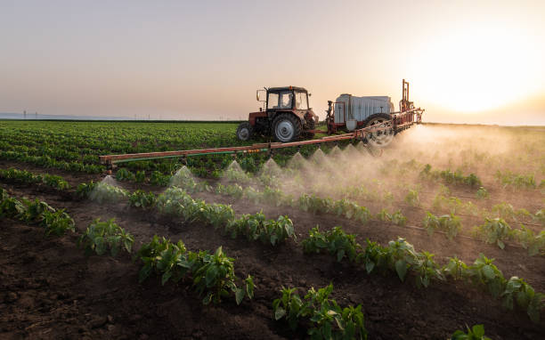 Best Wildlife Control Services  in Dell Rapids, SD