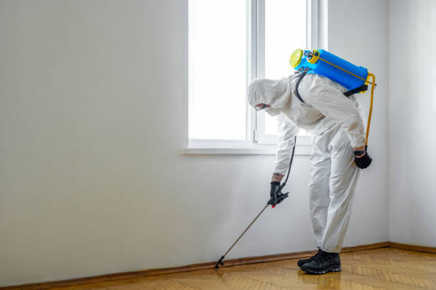 Best Rat Extermination Near Me  in Dell Rapids, SD