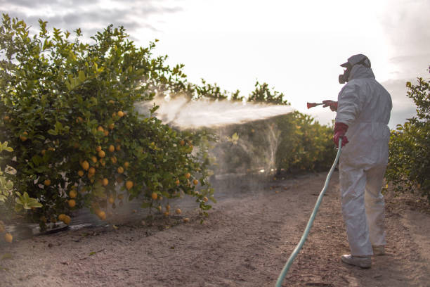Best Insect Control  in Dell Rapids, SD