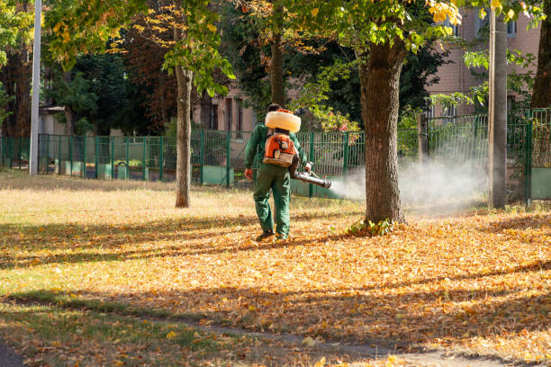 Professional Pest Control in Dell Rapids, SD