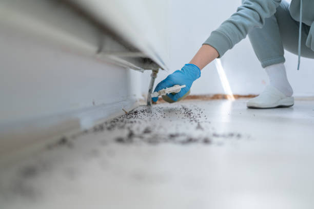 Best Residential Pest Control  in Dell Rapids, SD