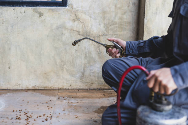 Best Ant Control Services  in Dell Rapids, SD